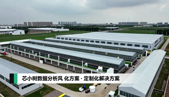 芯小树（上海）科技有限公司关注客户沟通反馈未来趋势